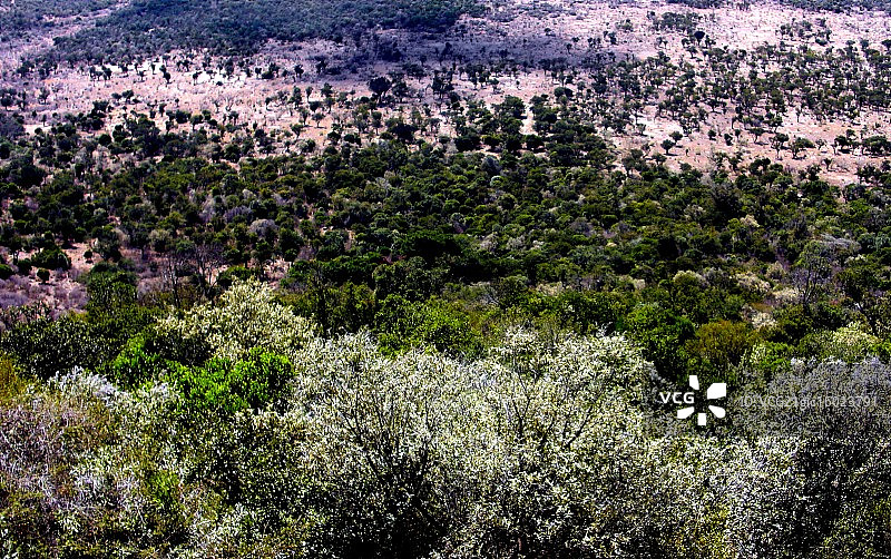 俯瞰肯尼亚东非大裂谷图片素材