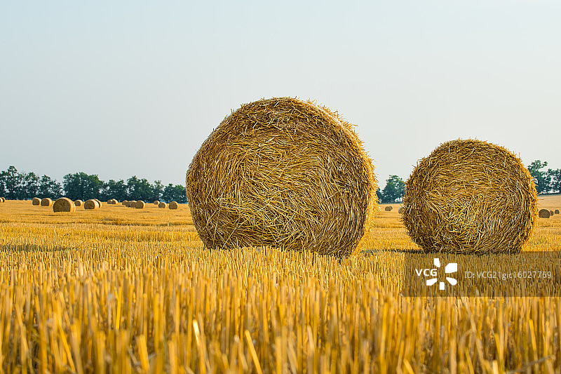 收获后的稻草捆田地图片素材