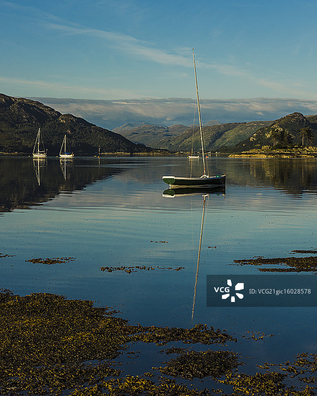 在普洛克顿的游艇图片素材
