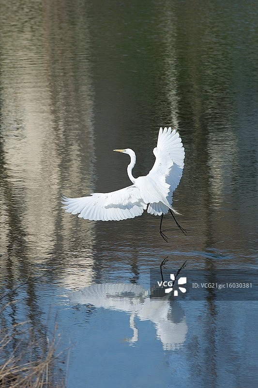 起重机图片素材