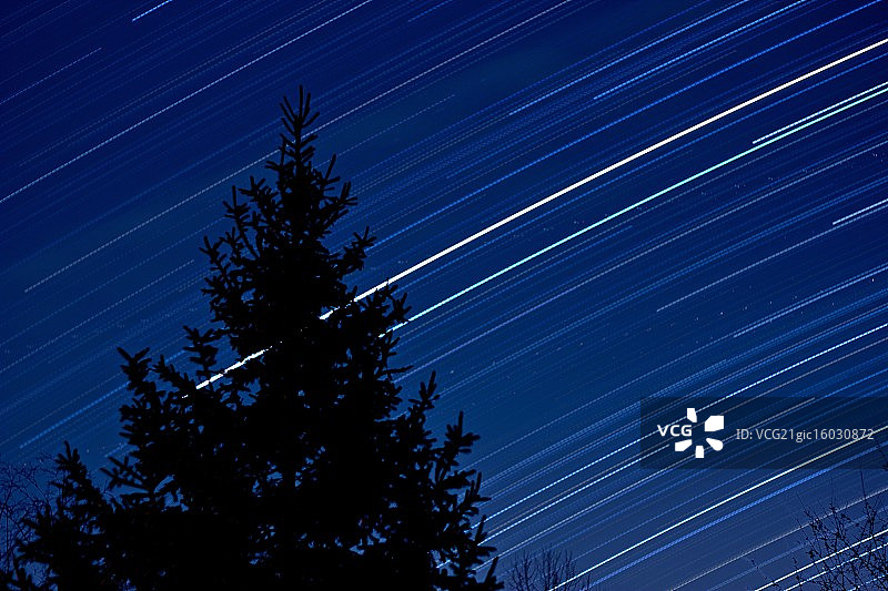 松树星轨图片素材