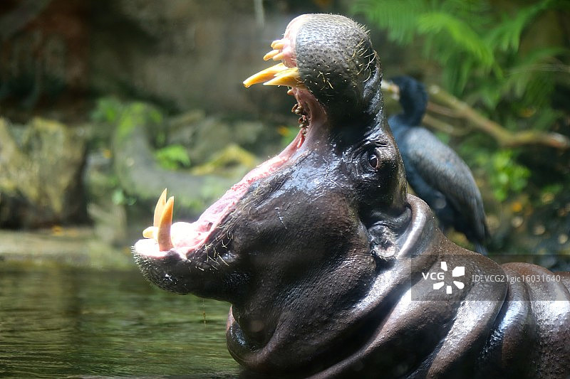 我的牙医在哪里？图片素材
