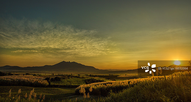 特皮克图片素材