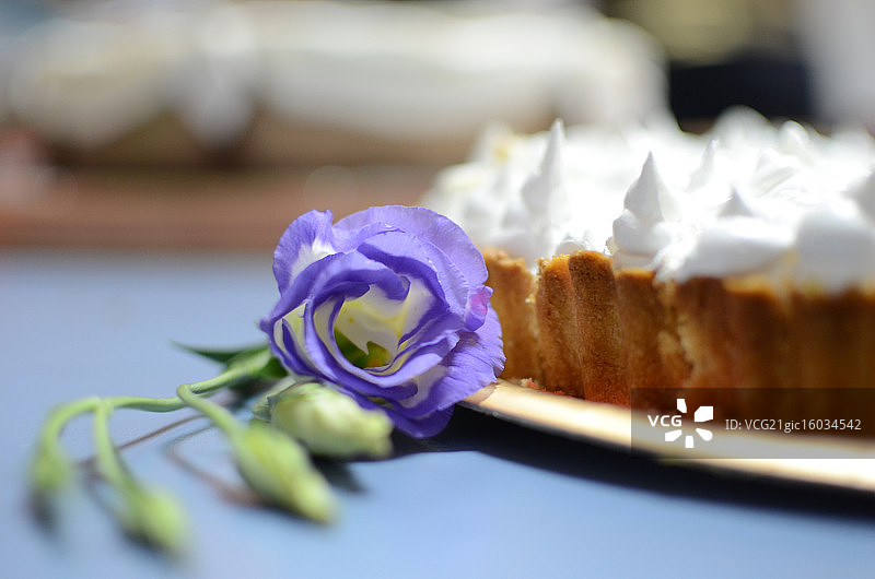 柠檬派图片素材