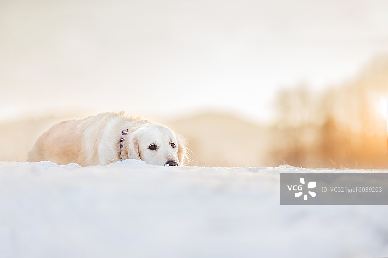 冬日忧郁图片素材