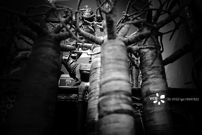 古代神祇图片素材