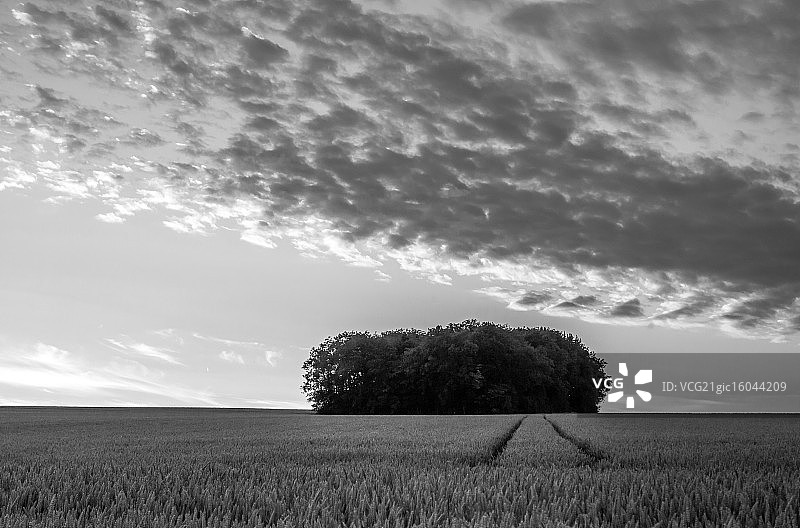 云朵简约生活图片素材