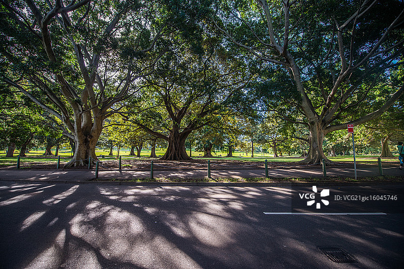 _DSC1182图片素材