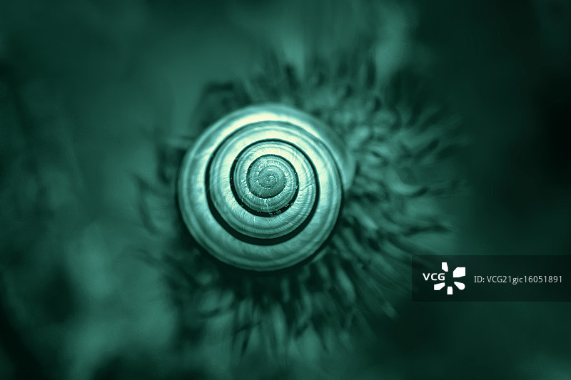 螺旋住宅图片素材