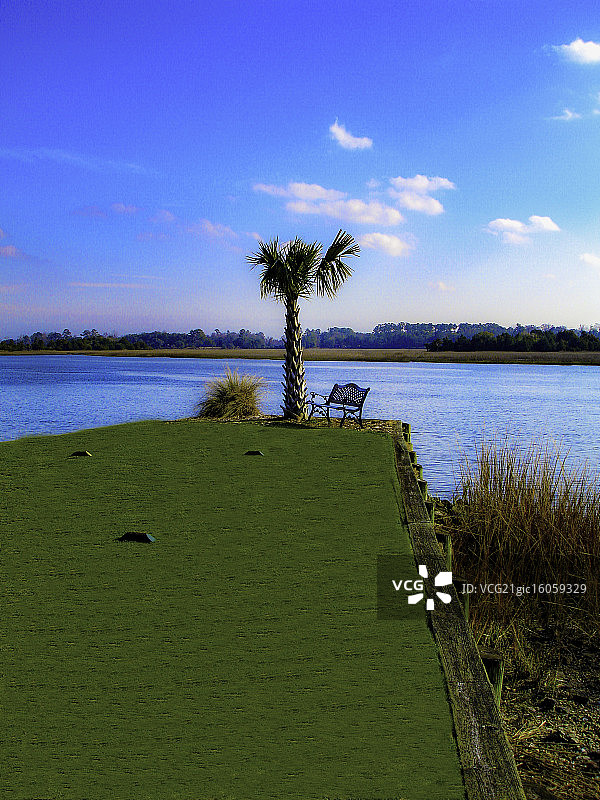 棕榈树发球区图片素材