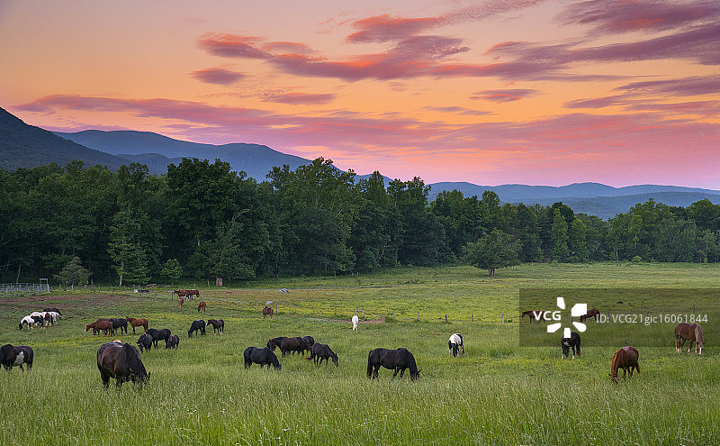 凯德斯湾图片素材