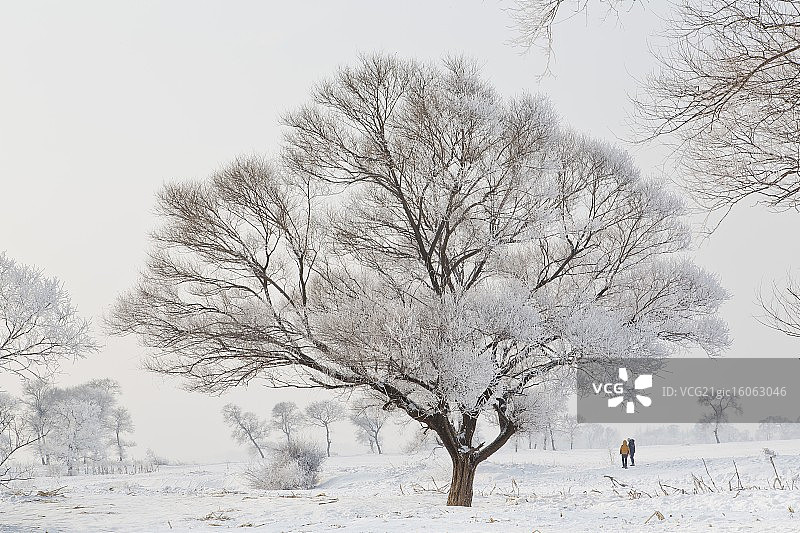 雾凇岛图片素材