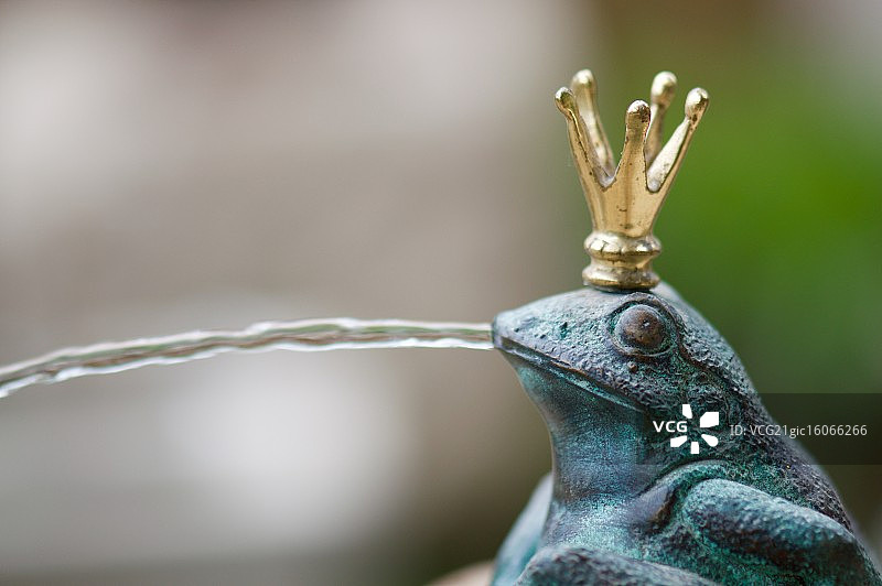 青蛙国王图片素材