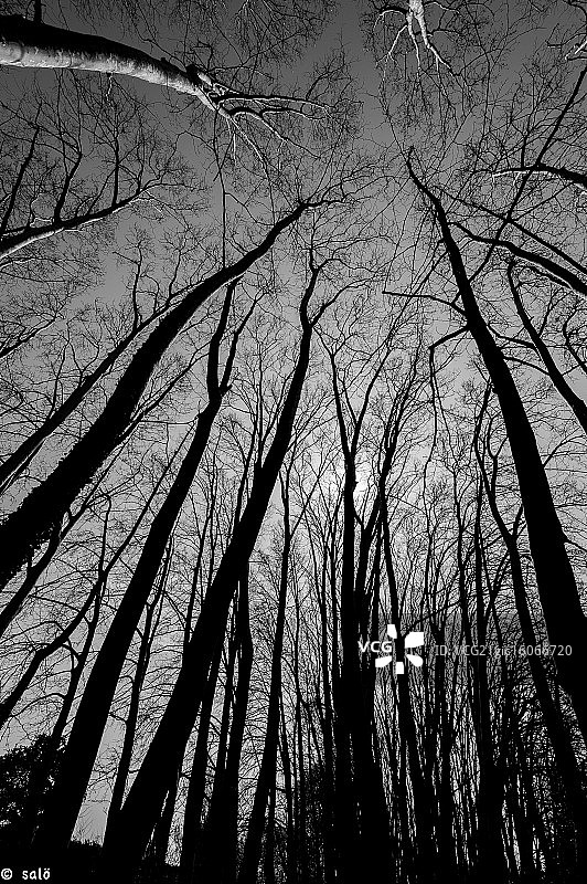 指向天空图片素材