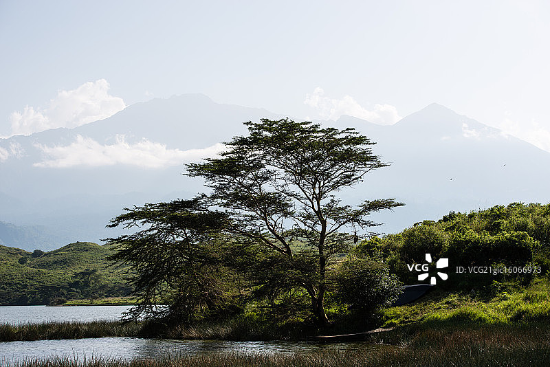 阿鲁沙国家公园图片素材