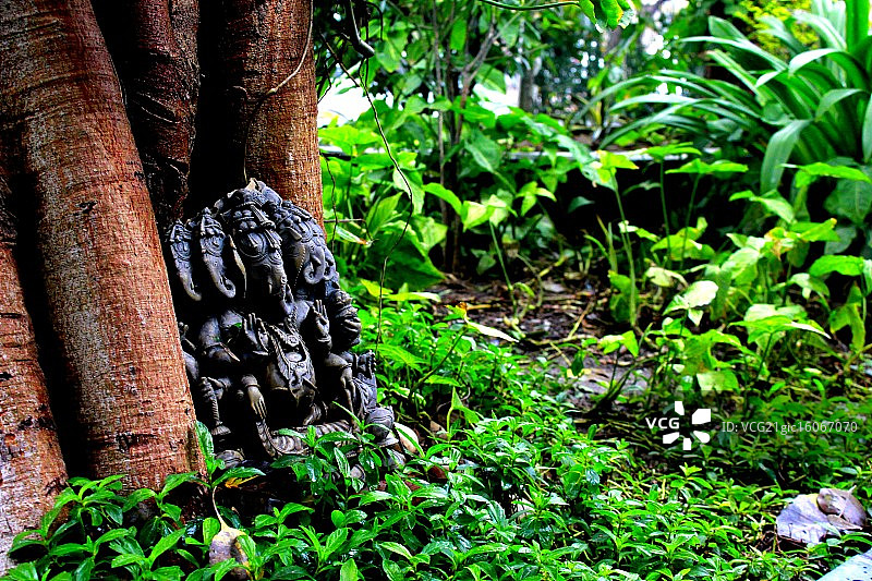 象头神图片素材