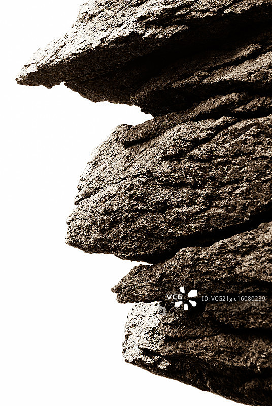 索尼DSC图片素材