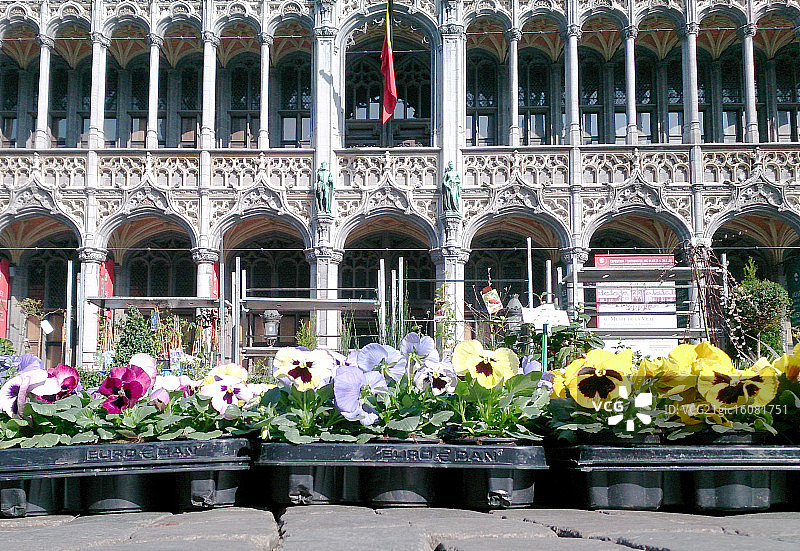 布鲁塞尔大广场的春天图片素材