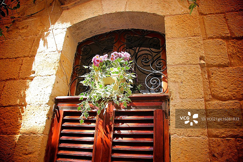 光合作用图片素材