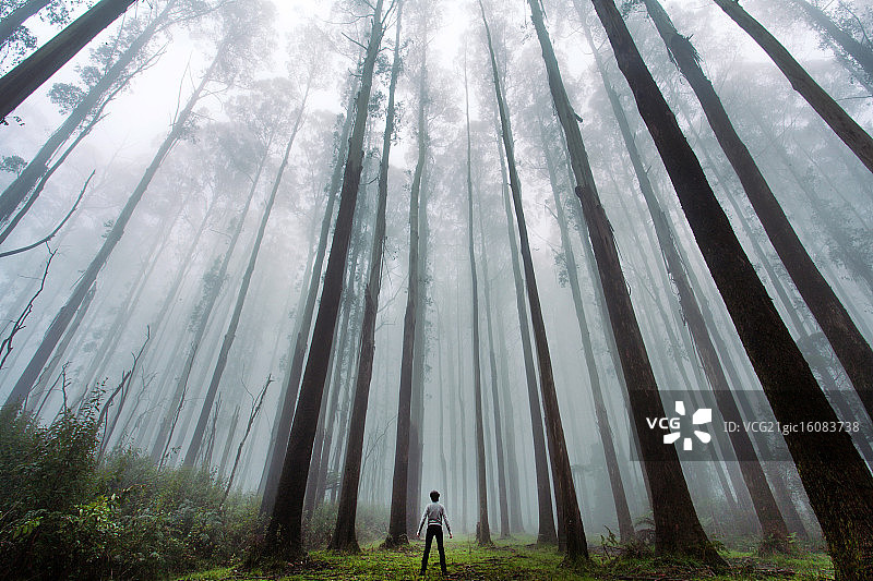 自画像图片素材