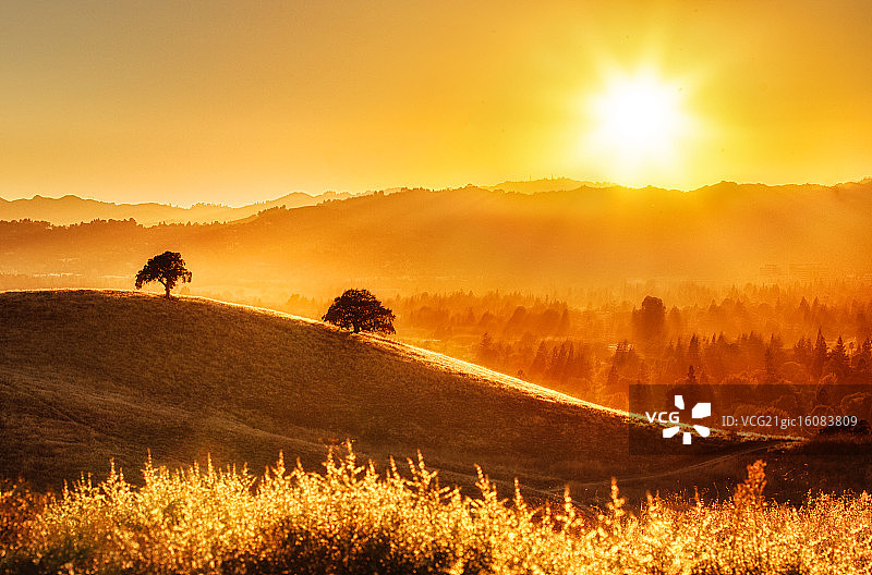 金色加利福尼亚图片素材