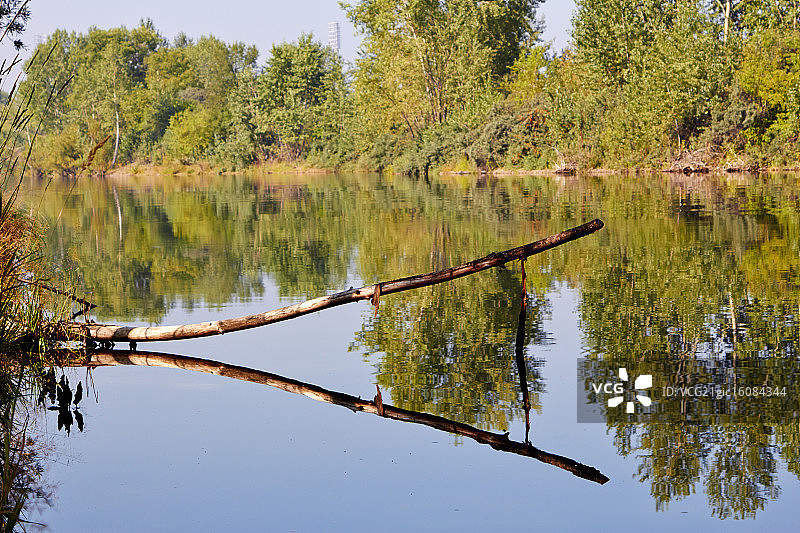 夏季河流障碍图片素材