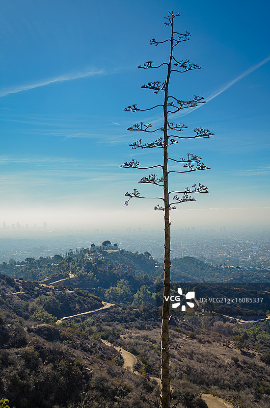 龙舌兰天文台图片素材