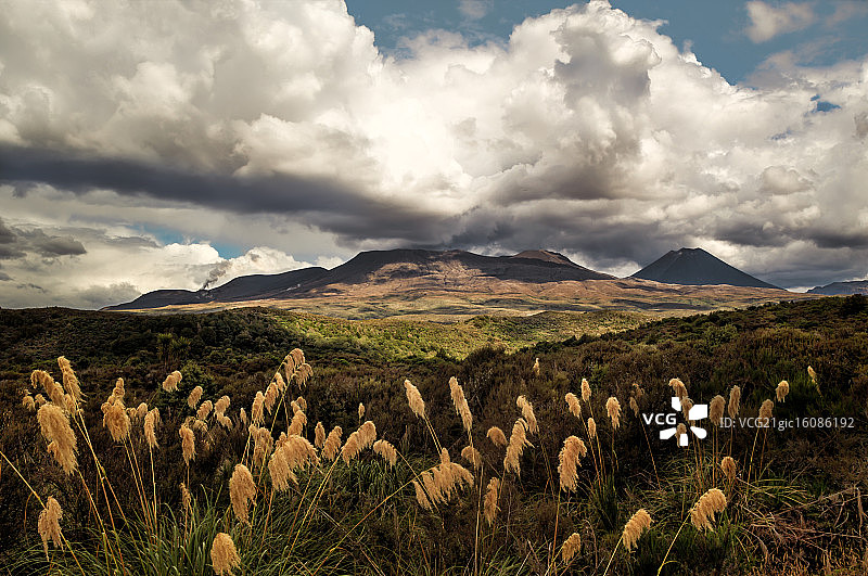 新西兰瑙鲁赫伊山图片素材