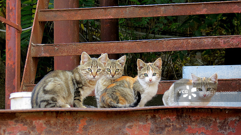 谁在这里？图片素材