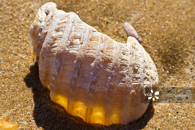 内在之光图片素材