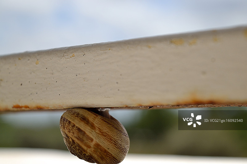 蜗牛先生图片素材