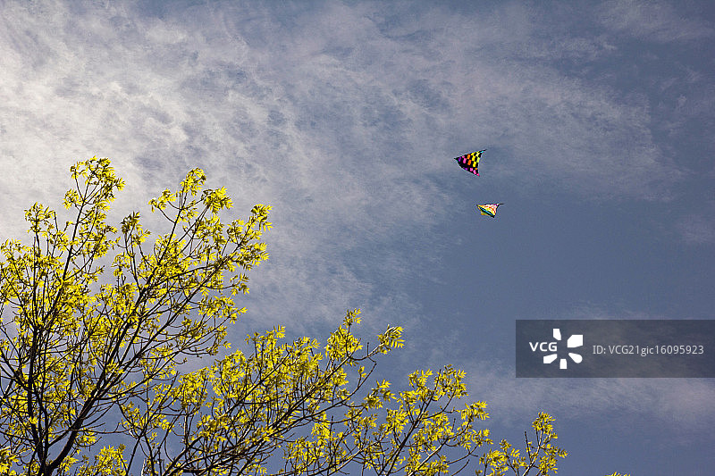 密尔沃基风筝节上的风筝图片素材