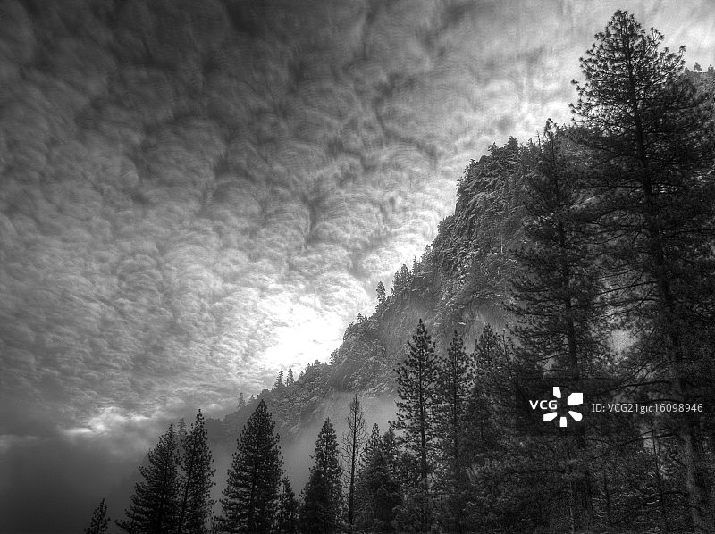 侏罗纪公园图片素材