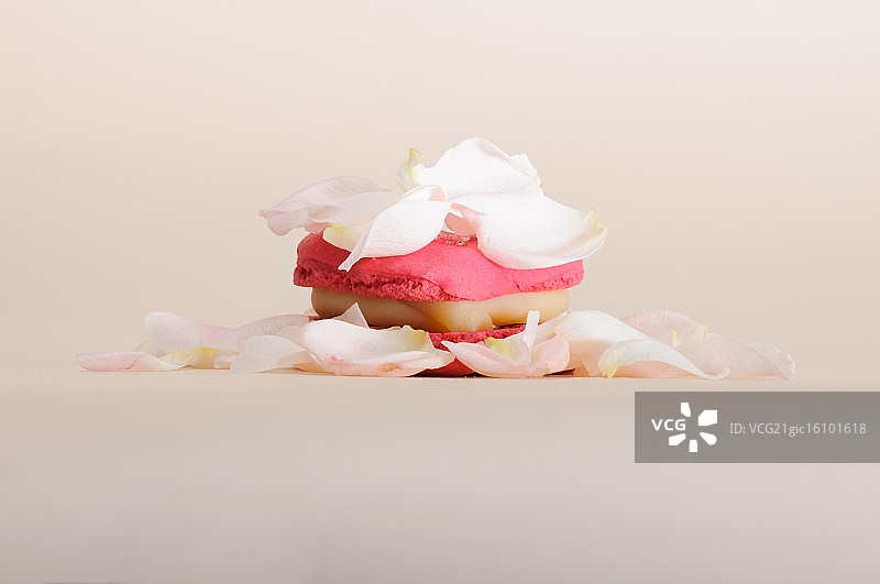 玫瑰马卡龙图片素材