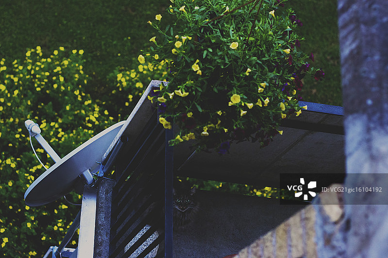 你好凯蒂猫图片素材