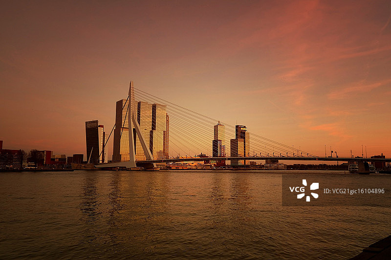 金色鹿特丹图片素材