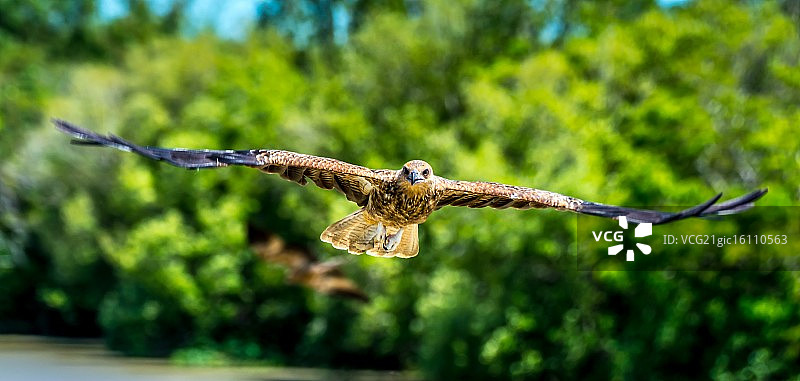 滑翔风筝图片素材