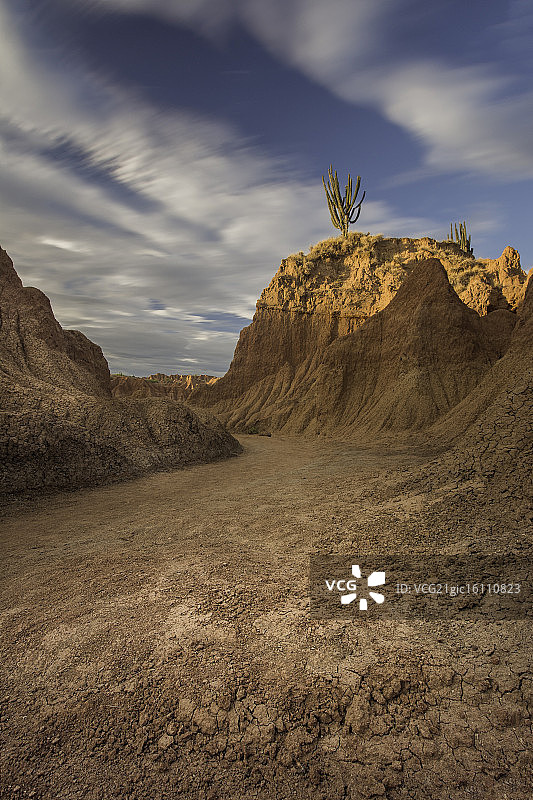 哥伦比亚塔塔科阿沙漠图片素材