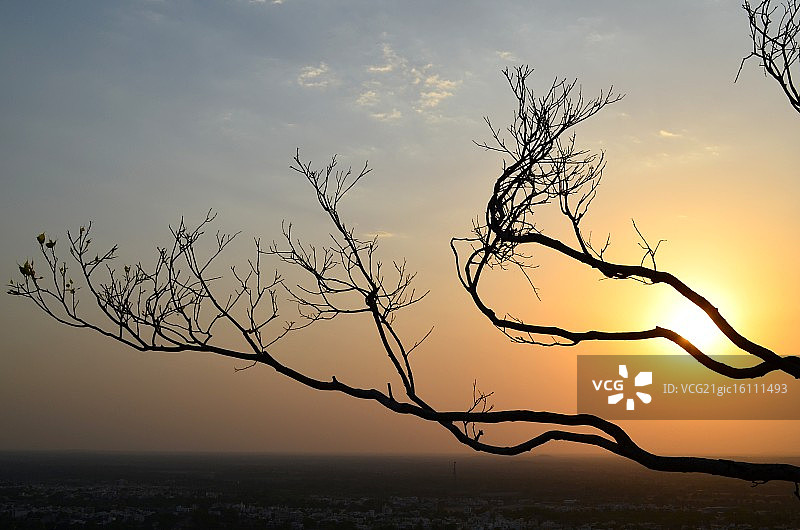 火焰与木头图片素材