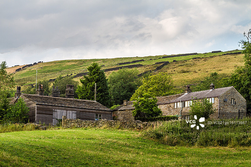 马斯登七月图片素材