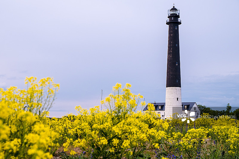 萨列马岛灯塔图片素材