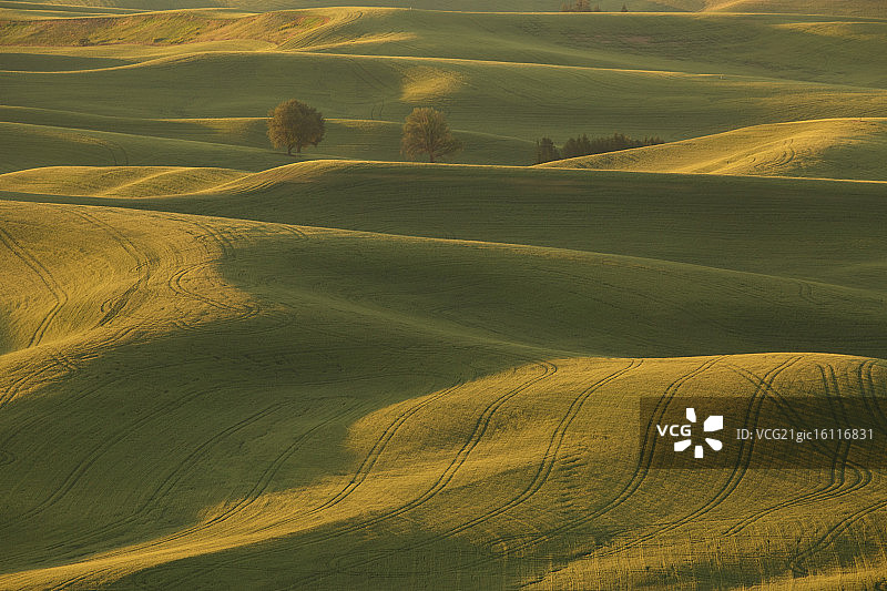 帕卢斯日出图片素材