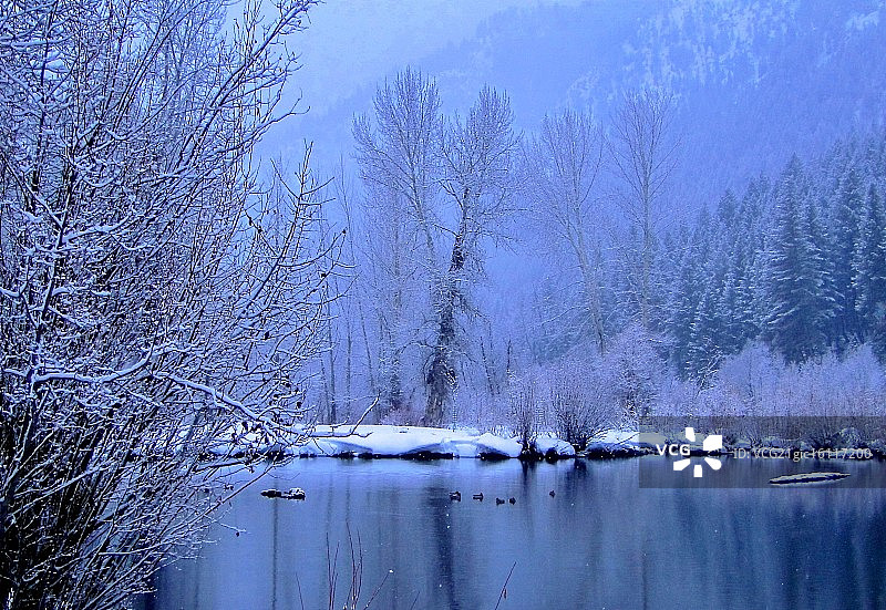 霜冻的早晨图片素材