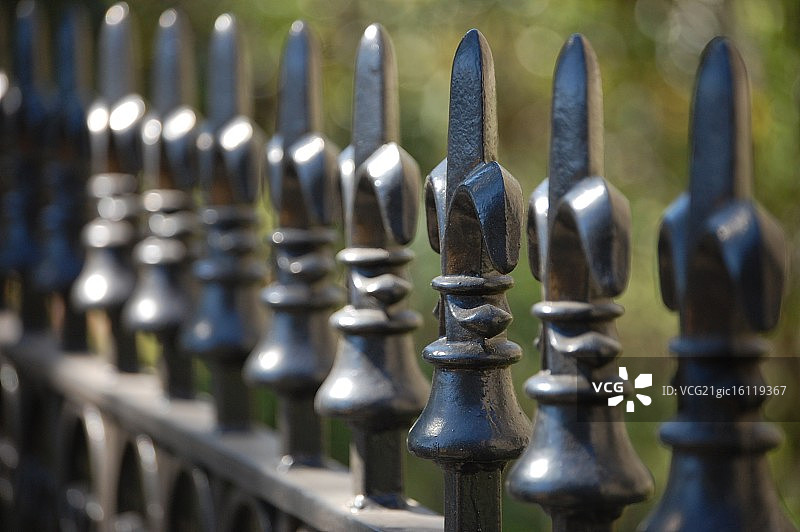 鸢尾花围栏图片素材