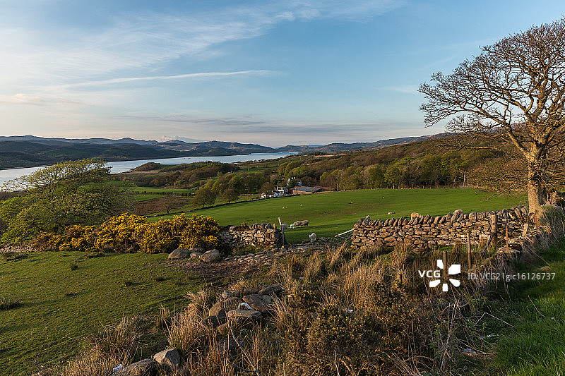塔伯特西湖图片素材