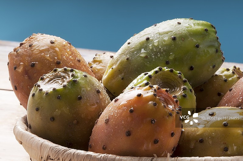 西西里岛多肉植物仙人掌图片素材