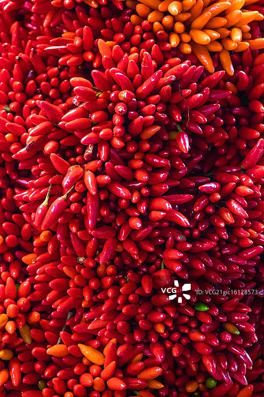 意大利辣香肠图片素材