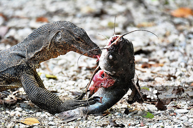 午餐时间图片素材