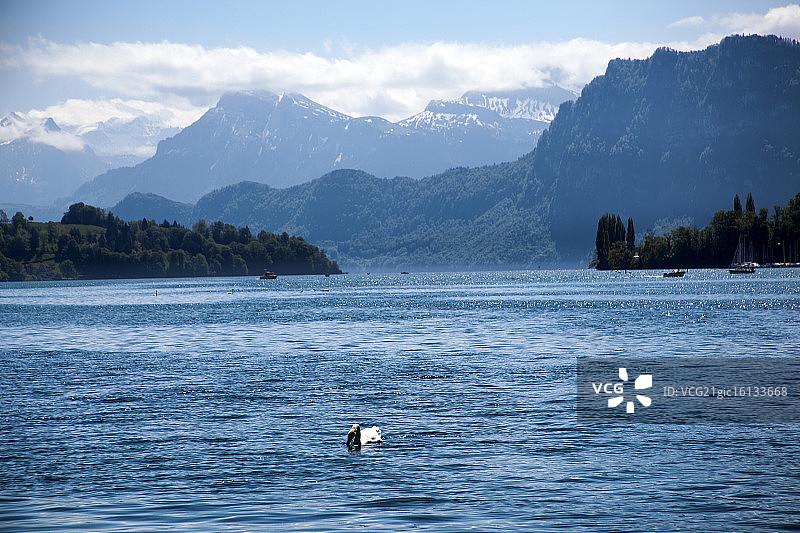 琉森湖图片素材