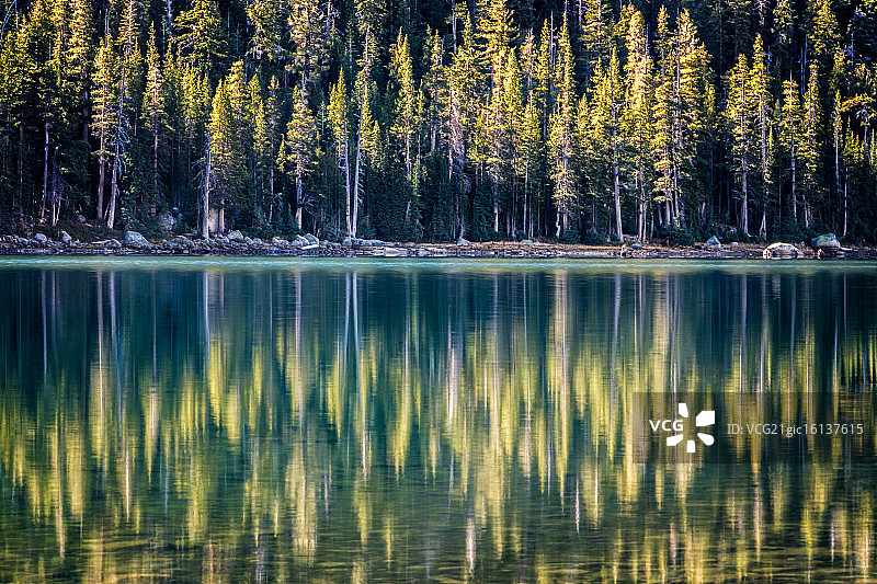 特纳亚湖中倒映的松树图片素材